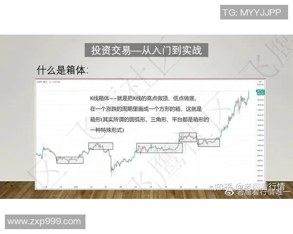 深入分析上海乒乓球队防守战术的独特魅力与实战应用